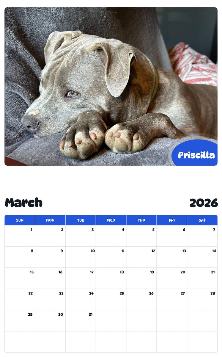 November 2025 - October 2026 Priscilla - Pawidols Pet Calendar
