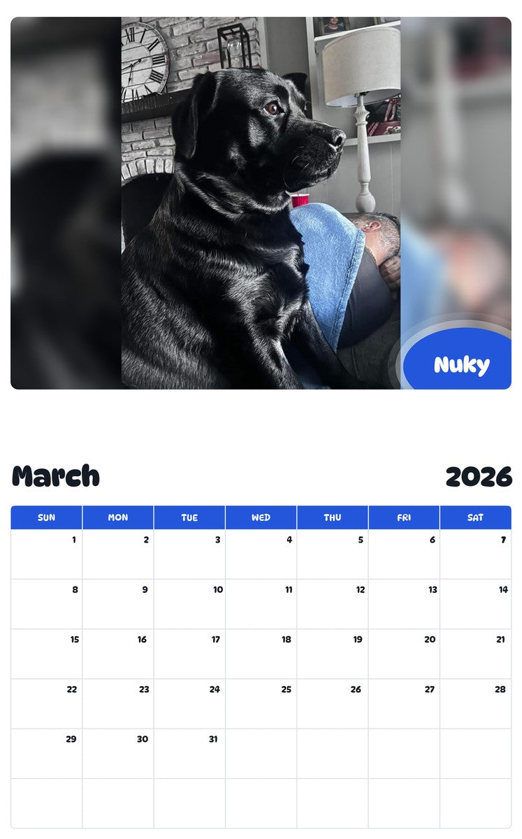 November 2025 - October 2026 Nuky - Pawidols Pet Calendar