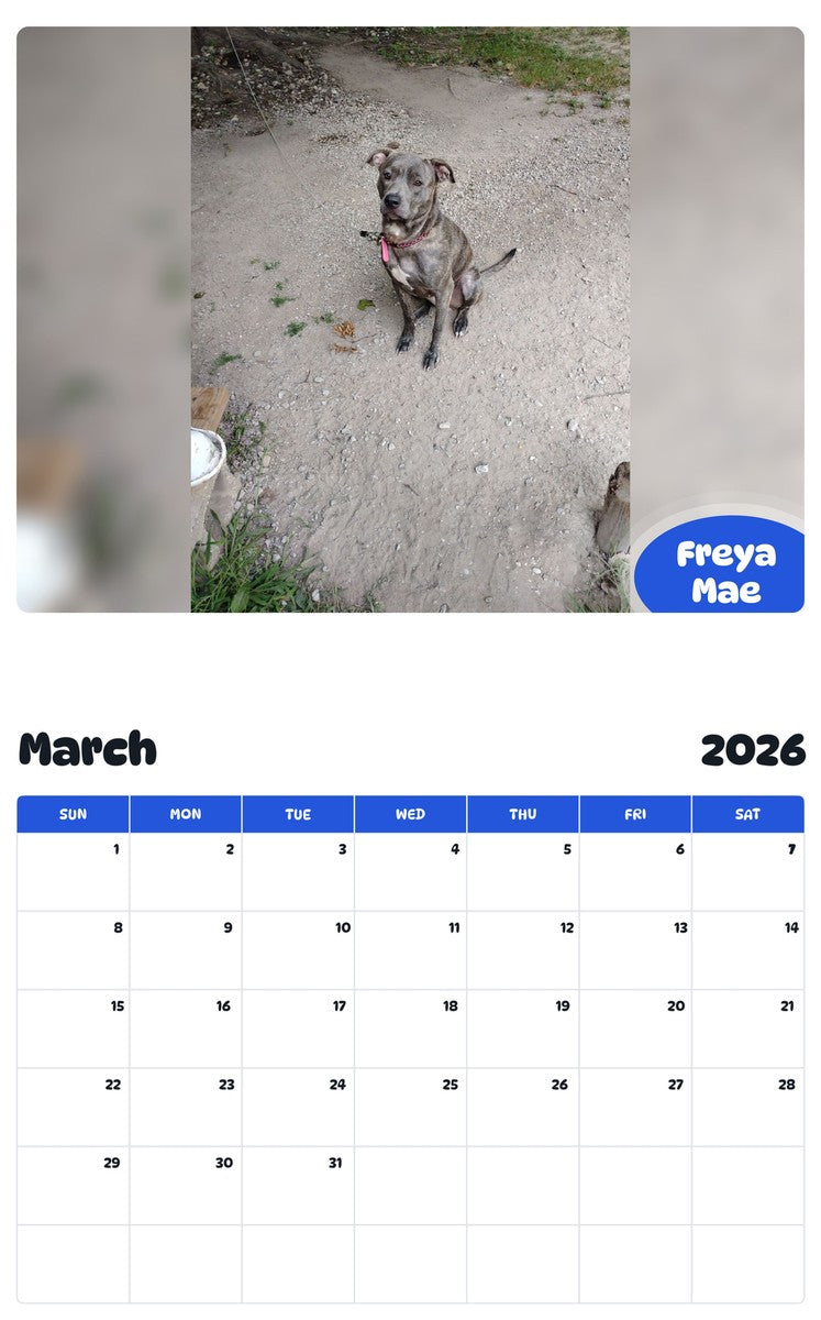 November 2025 - October 2026 Freya Mae - Pawidols Pet Calendar