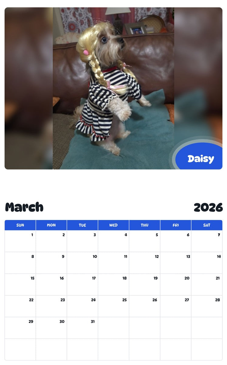 November 2025 - October 2026 Daisy - Pawidols Pet Calendar