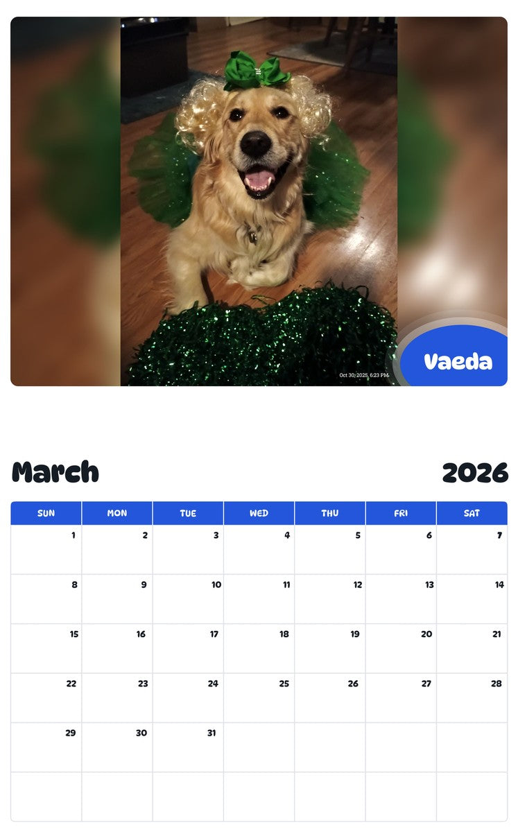 November 2025 - October 2026 Vaeda - Pawidols Pet Calendar