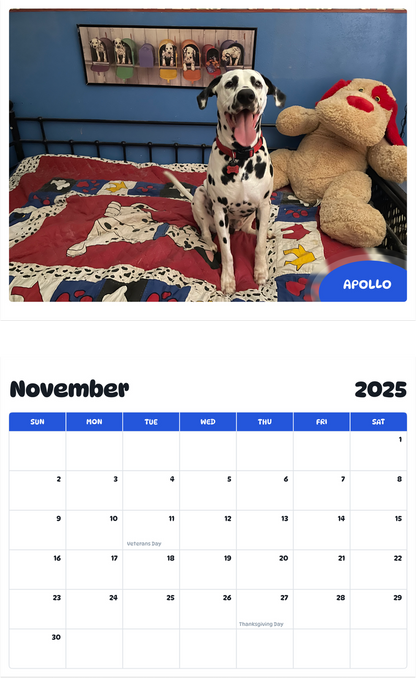 July 2025 - June 2026 Apollo - Pawidols Pet Calendar
