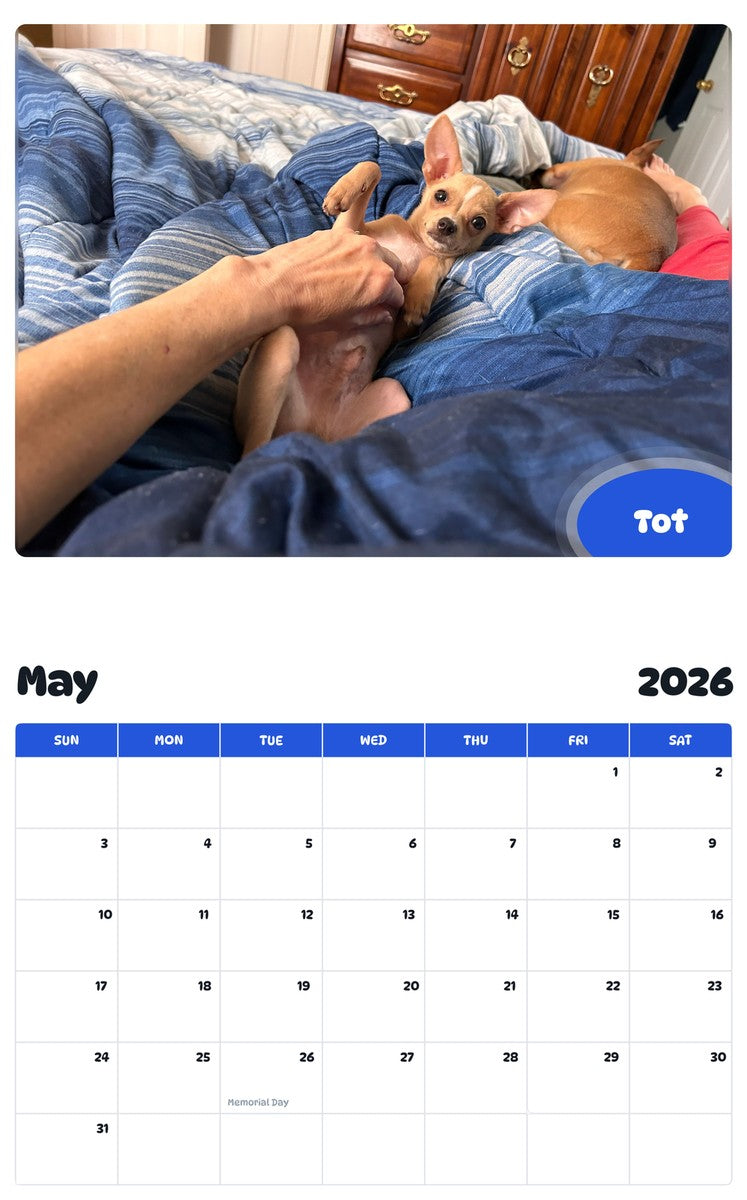 2026 - 2027 Tot - Pawidols Pet Calendar