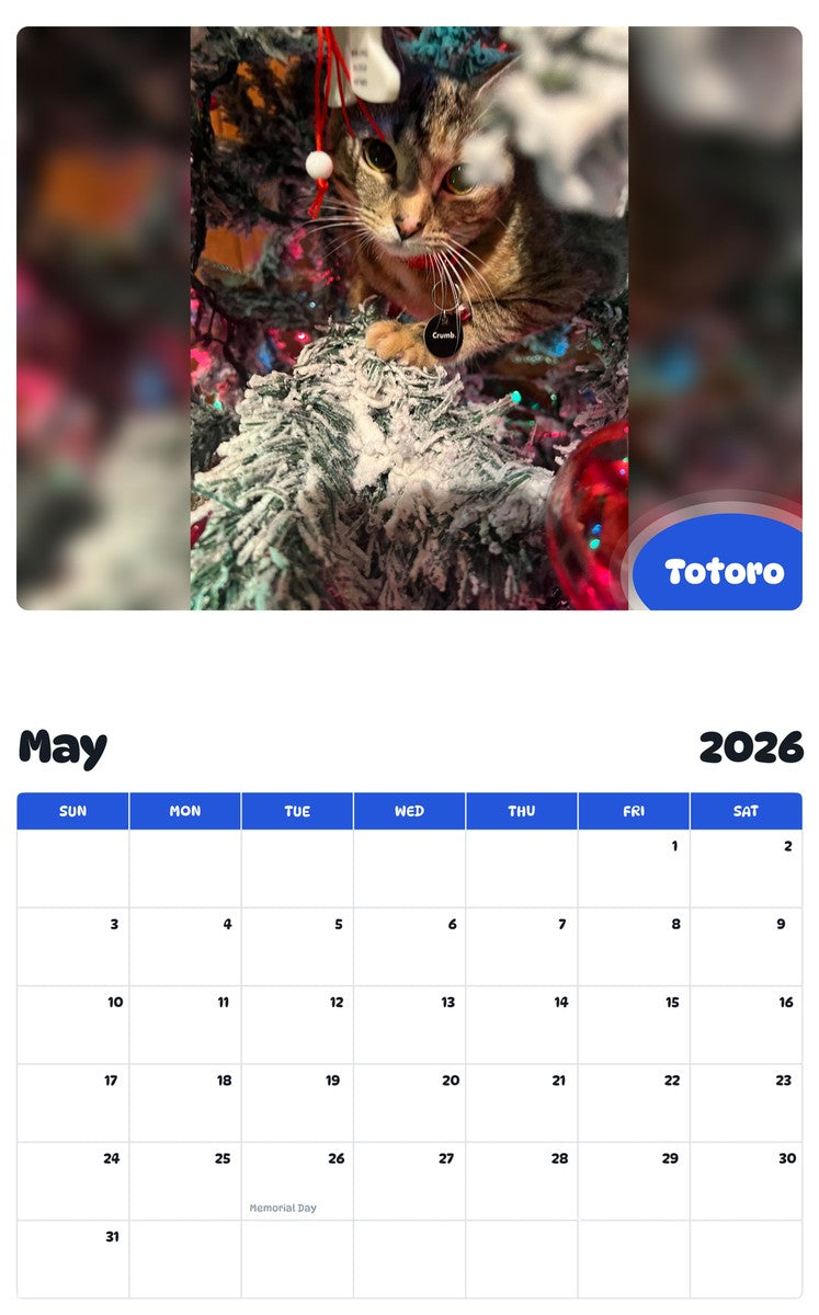2026 - 2027 Totoro - Pawidols Pet Calendar
