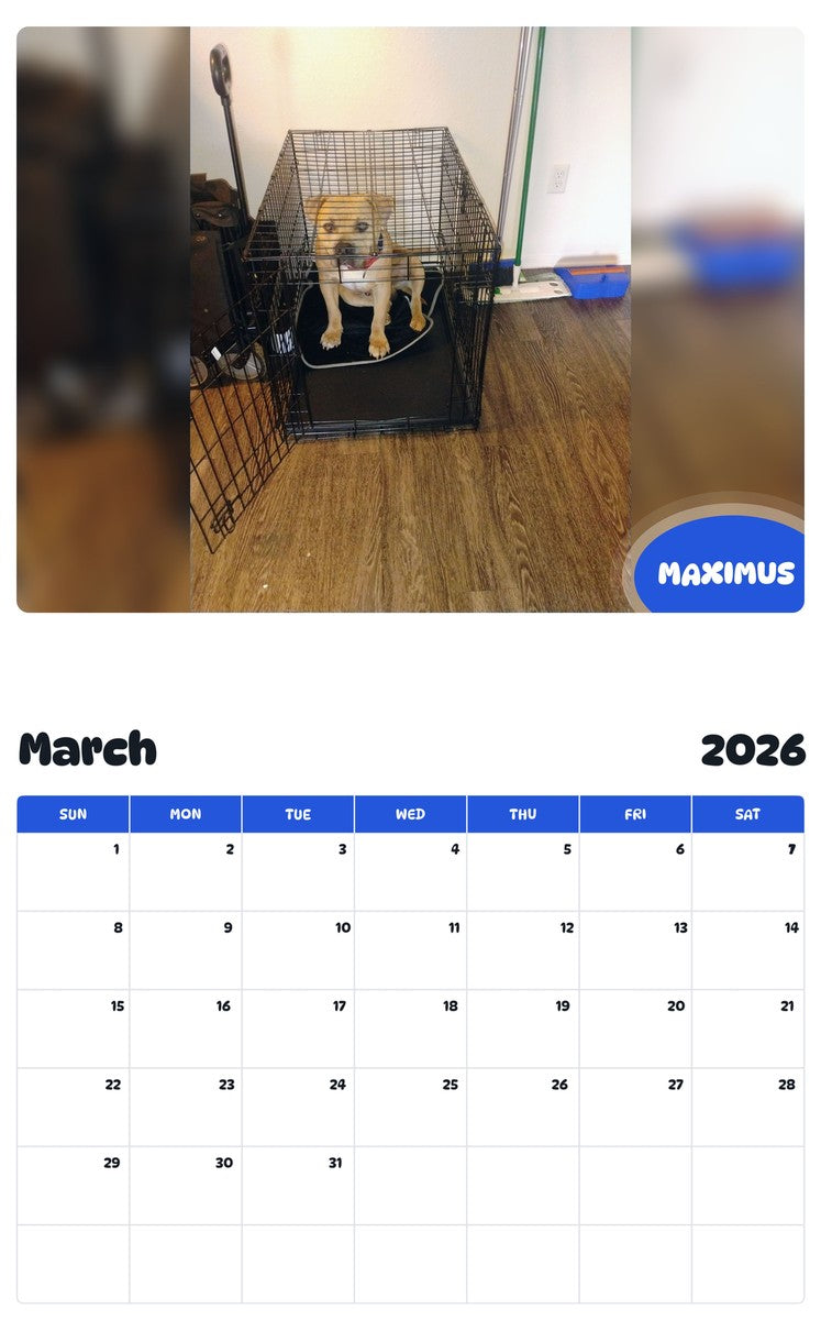 November 2025 - October 2026 MAXIMUS - Pawidols Pet Calendar