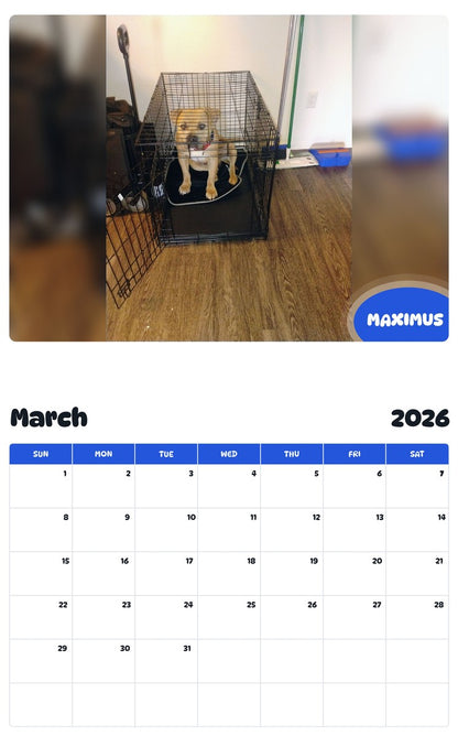November 2025 - October 2026 MAXIMUS - Pawidols Pet Calendar