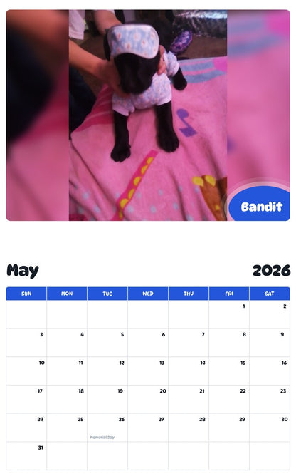 2026 - 2027 Bandit - Pawidols Pet Calendar