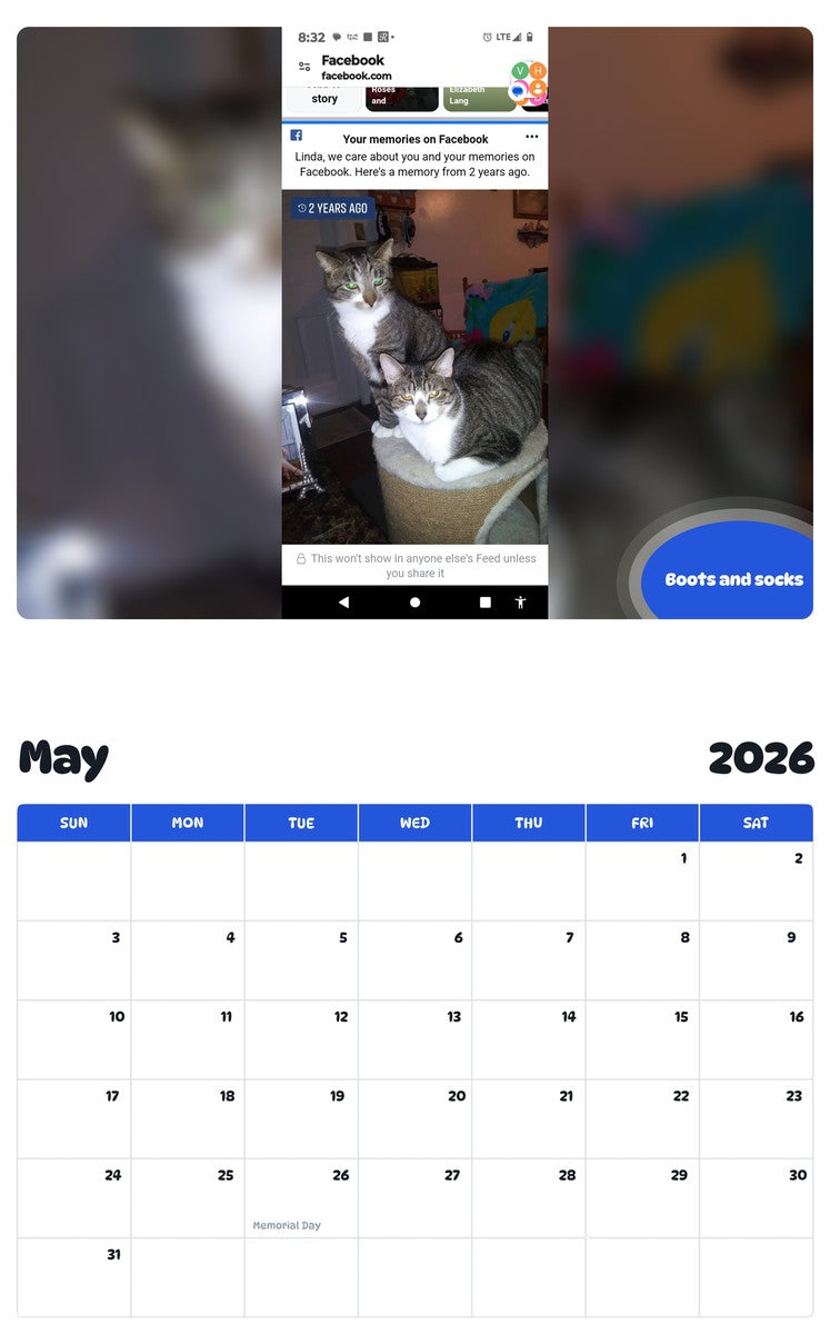 2026 - 2027 Boots and socks - Pawidols Pet Calendar