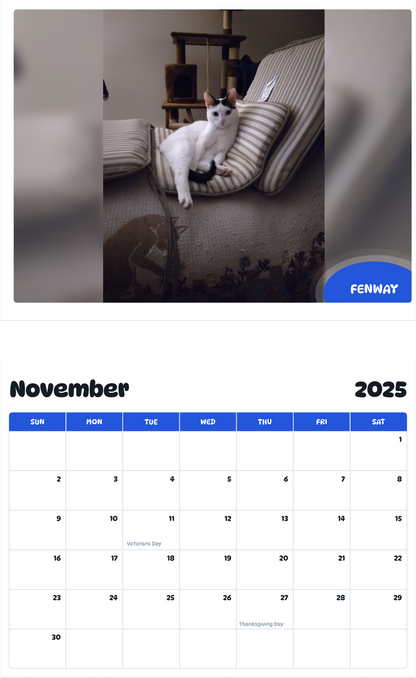 July 2025 - June 2026 Fenway - Pawidols Pet Calendar