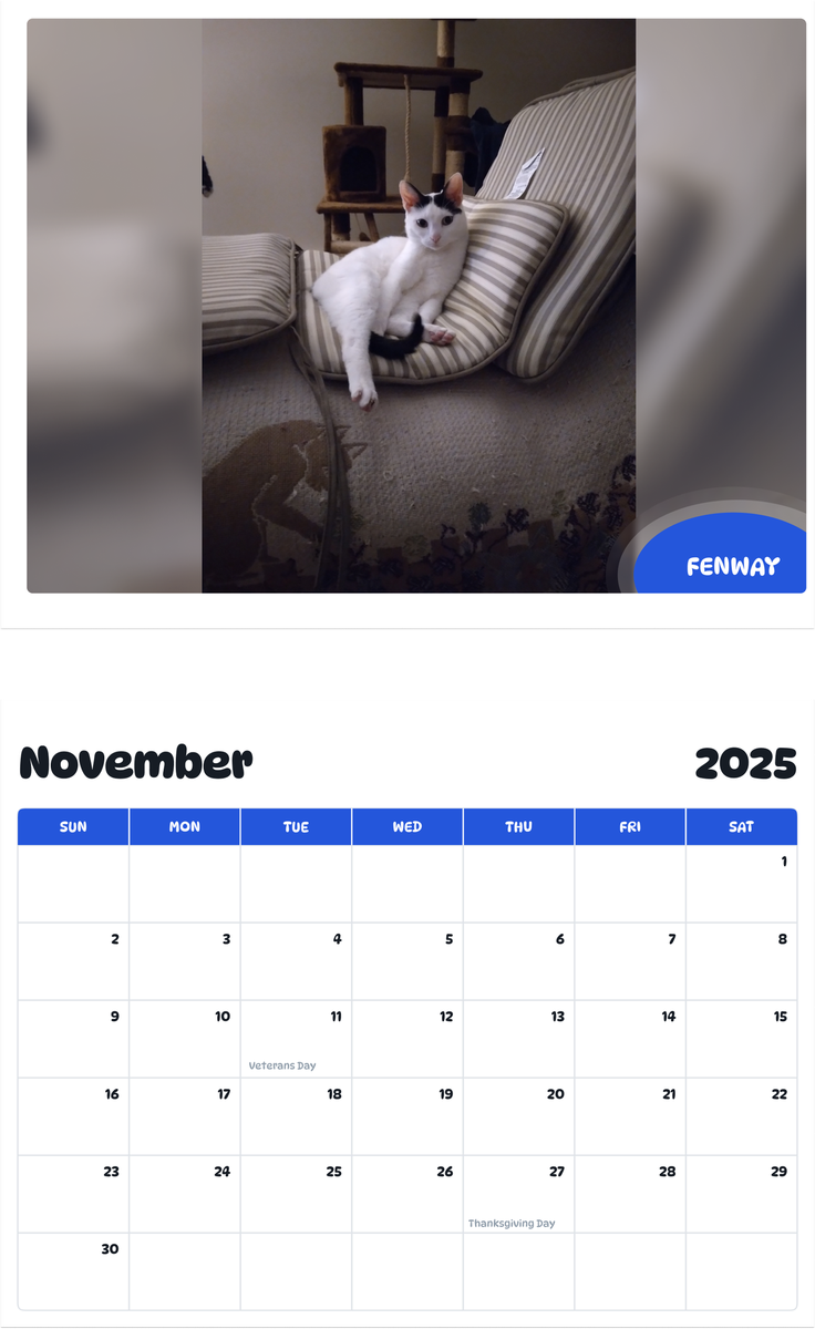 July 2025 - June 2026 Fenway - Pawidols Pet Calendar