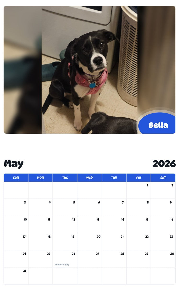 2026 - 2027 Bella - Pawidols Pet Calendar