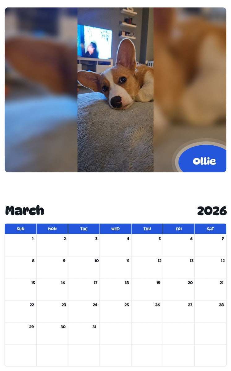November 2025 - October 2026 Ollie - Pawidols Pet Calendar