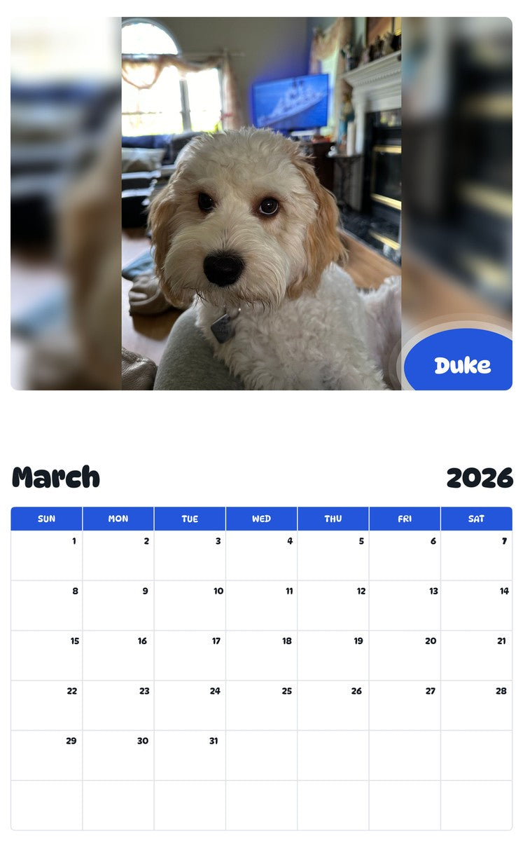 November 2025 - October 2026 Duke - Pawidols Pet Calendar