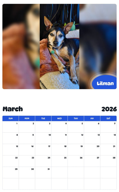 November 2025 - October 2026 Lilman - Pawidols Pet Calendar