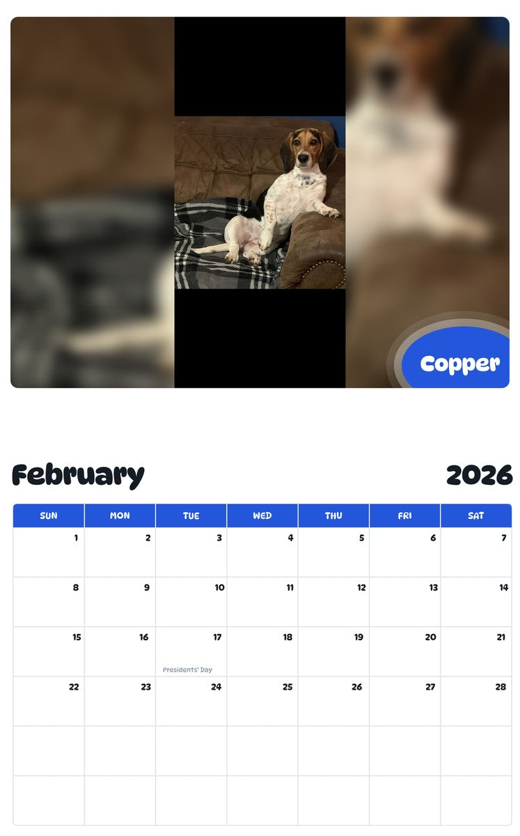 November 2025 - October 2026 Copper - Pawidols Pet Calendar