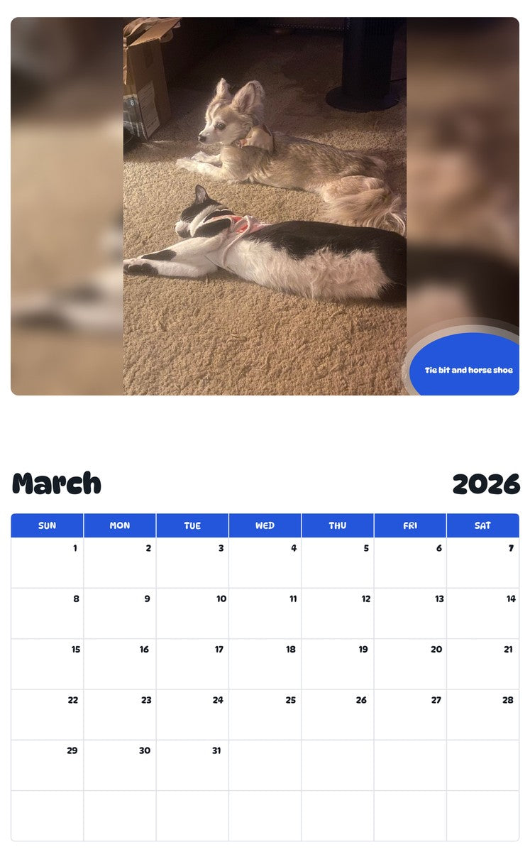 November 2025 - October 2026 Tie bit and horse shoe - Pawidols Pet Calendar