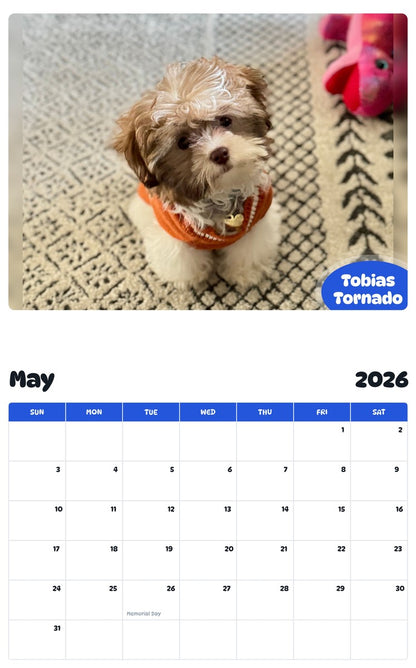 2026 - 2027 Tobias Tornado - Pawidols Pet Calendar