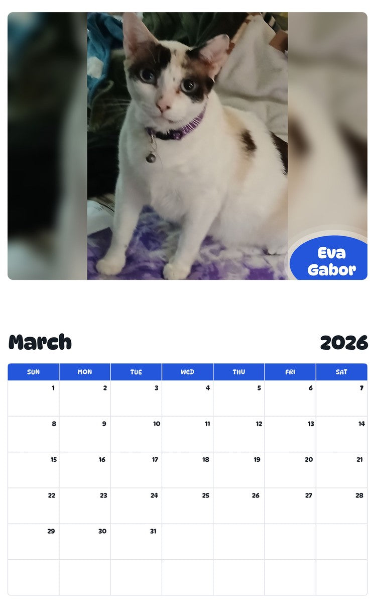 November 2025 - October 2026 Eva Gabor - Pawidols Pet Calendar