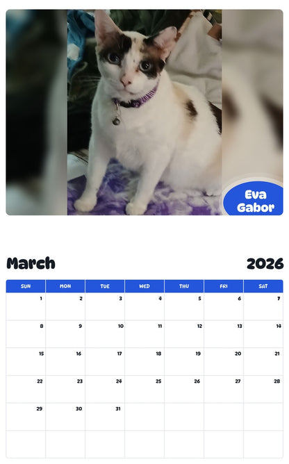 November 2025 - October 2026 Eva Gabor - Pawidols Pet Calendar