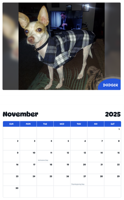 July 2025 - June 2026 Dodger - Pawidols Pet Calendar