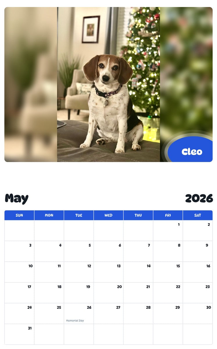 2026 - 2027 Cleo - Pawidols Pet Calendar