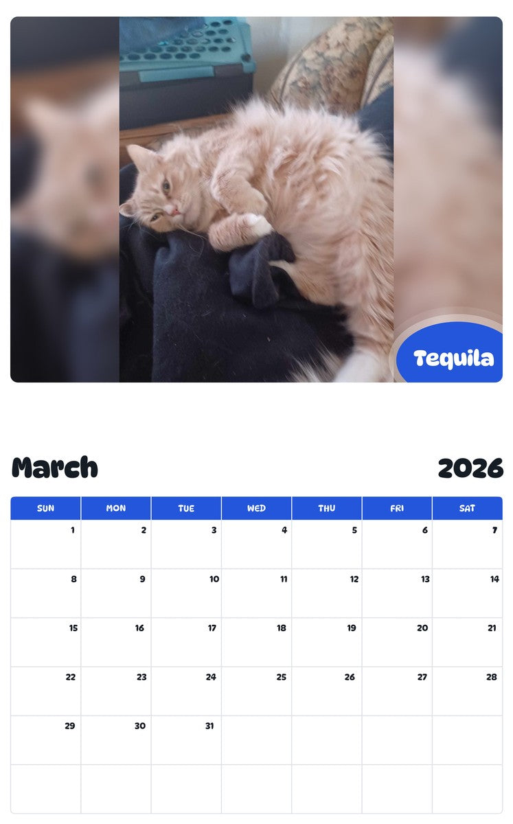 November 2025 - October 2026 Tequila - Pawidols Pet Calendar