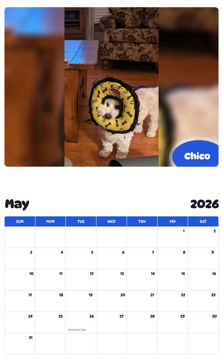 2026 - 2027 Chico - Pawidols Pet Calendar