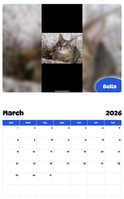 November 2025 - October 2026 Bella - Pawidols Pet Calendar