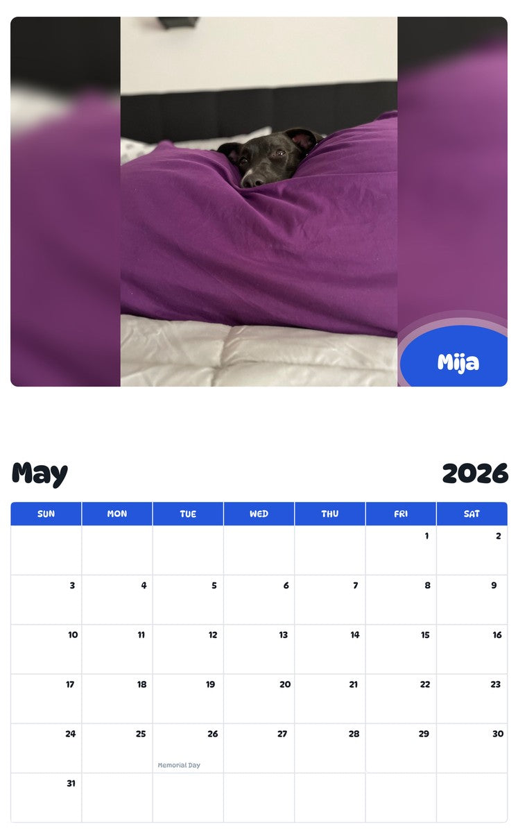 2026 - 2027 Mija - Pawidols Pet Calendar