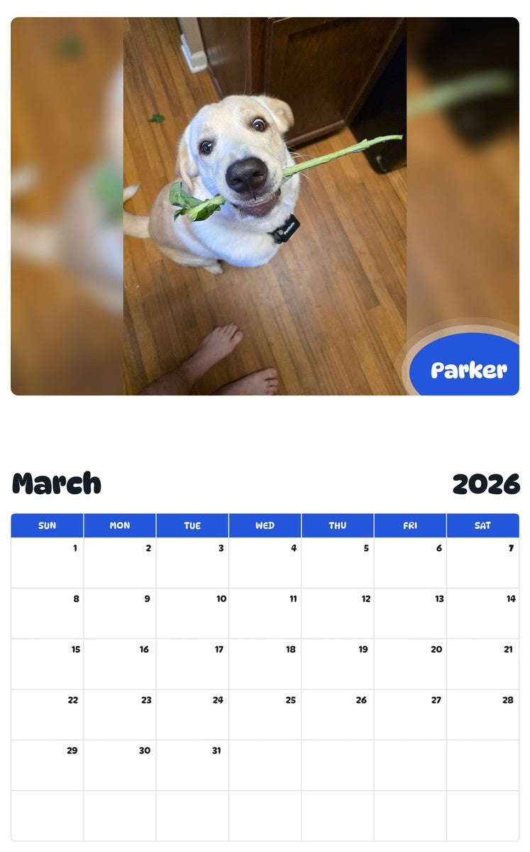 November 2025 - October 2026 Parker - Pawidols Pet Calendar
