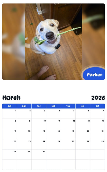November 2025 - October 2026 Parker - Pawidols Pet Calendar