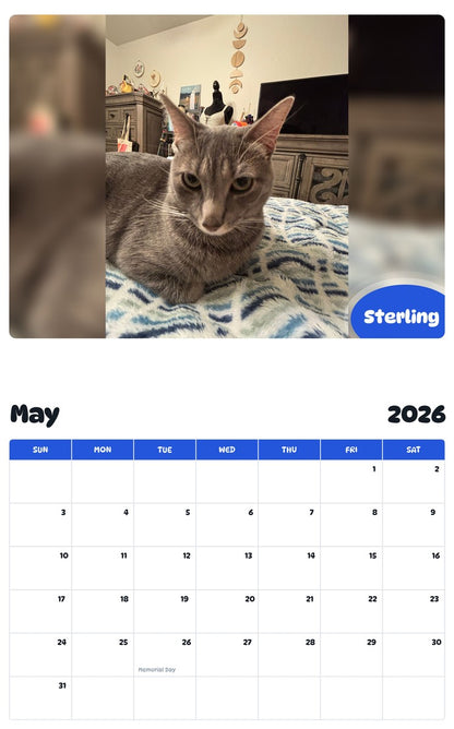 2026 - 2027 Sterling - Pawidols Pet Calendar