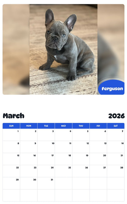 November 2025 - October 2026 Ferguson - Pawidols Pet Calendar