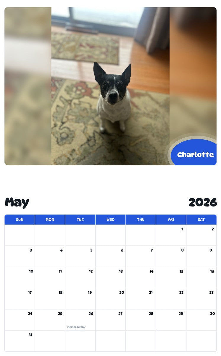 2026 - 2027 Charlotte - Pawidols Pet Calendar