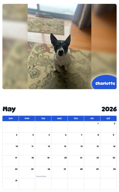 2026 - 2027 Charlotte - Pawidols Pet Calendar