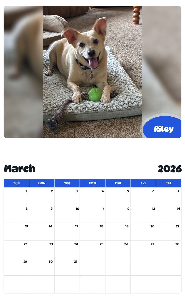 November 2025 - October 2026 Riley - Pawidols Pet Calendar