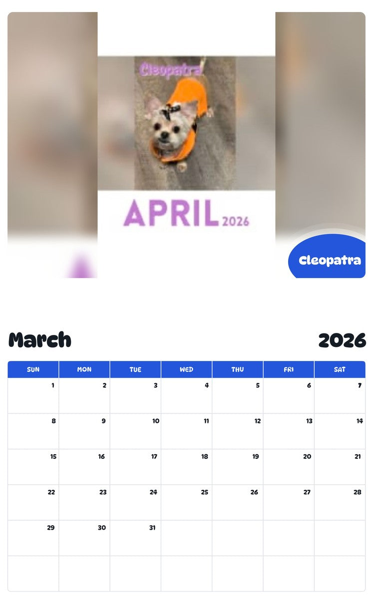 November 2025 - October 2026 Cleopatra - Pawidols Pet Calendar