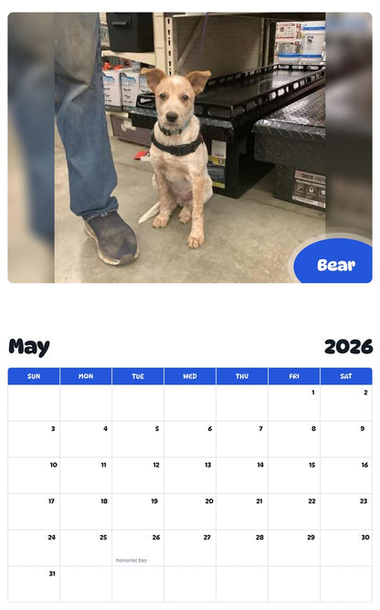 2026 - 2027 Bear - Pawidols Pet Calendar