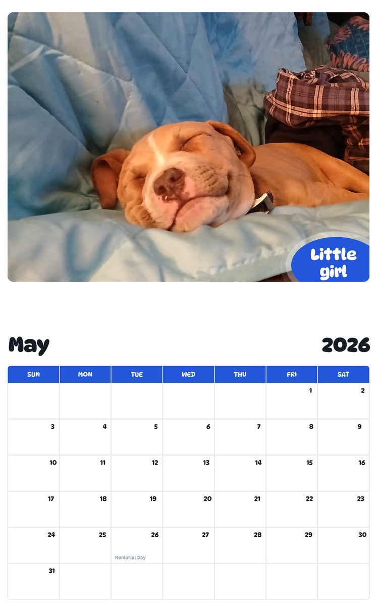2026 - 2027 Little girl - Pawidols Pet Calendar