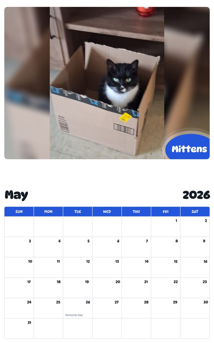 2026 - 2027 Mittens - Pawidols Pet Calendar
