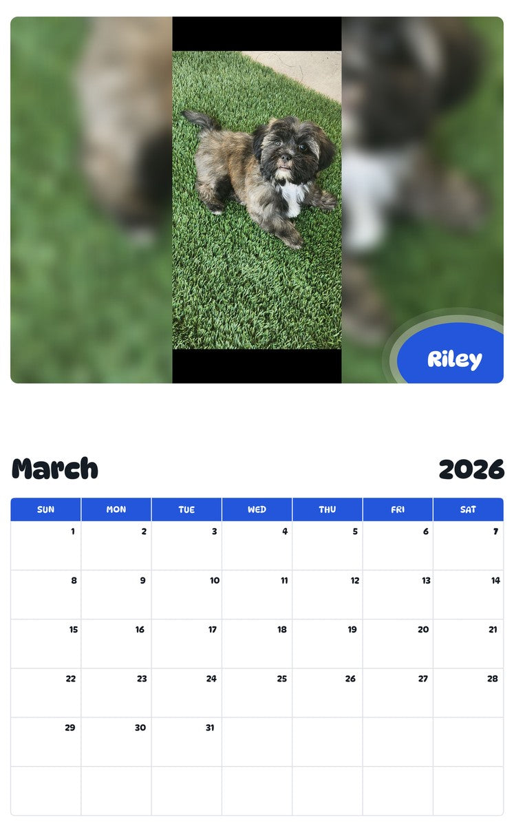 November 2025 - October 2026 Riley - Pawidols Pet Calendar