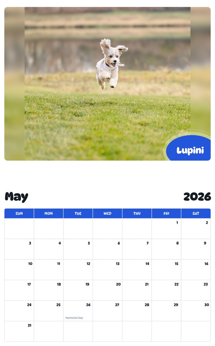 2026 - 2027 Lupini - Pawidols Pet Calendar