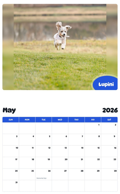 2026 - 2027 Lupini - Pawidols Pet Calendar