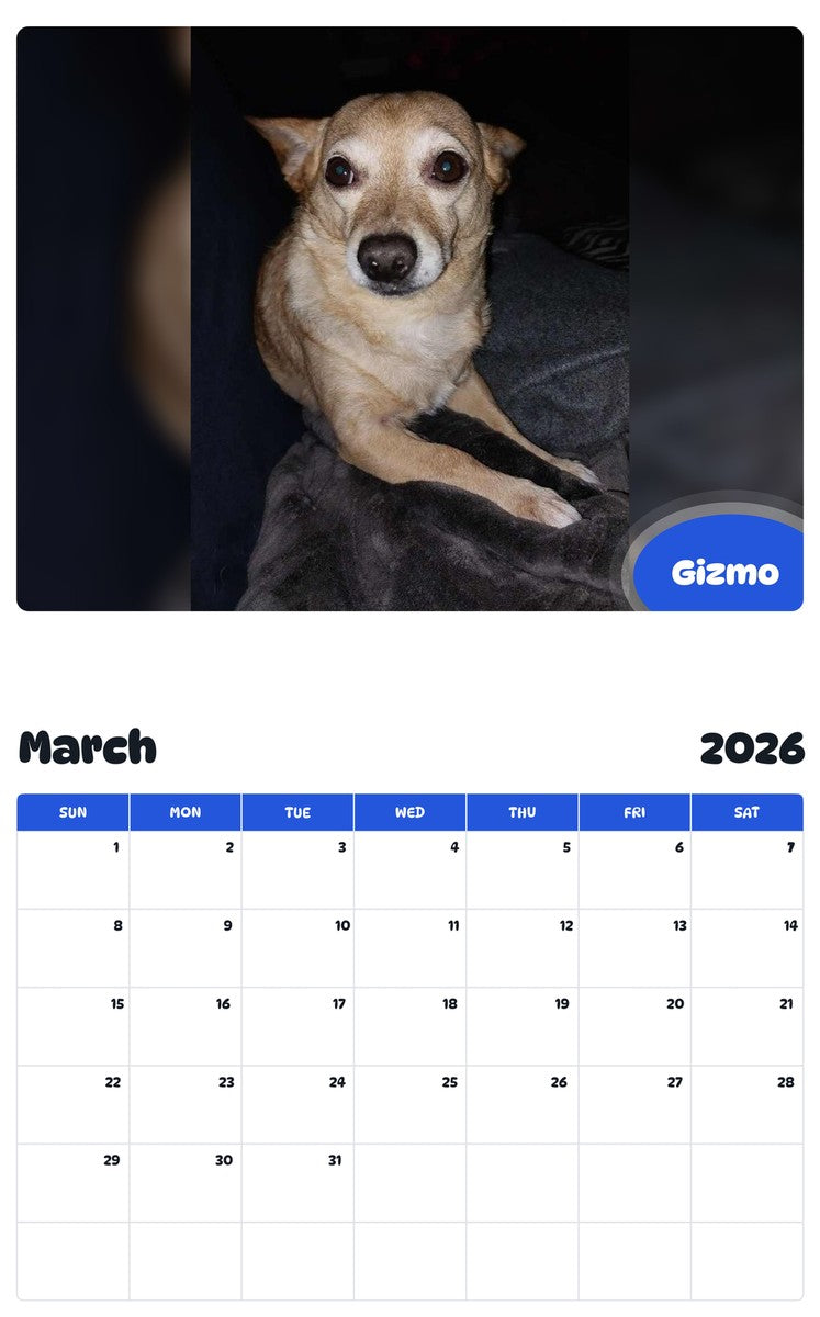 November 2025 - October 2026 Gizmo - Pawidols Pet Calendar