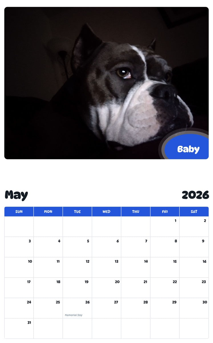 2026 - 2027 Baby - Pawidols Pet Calendar