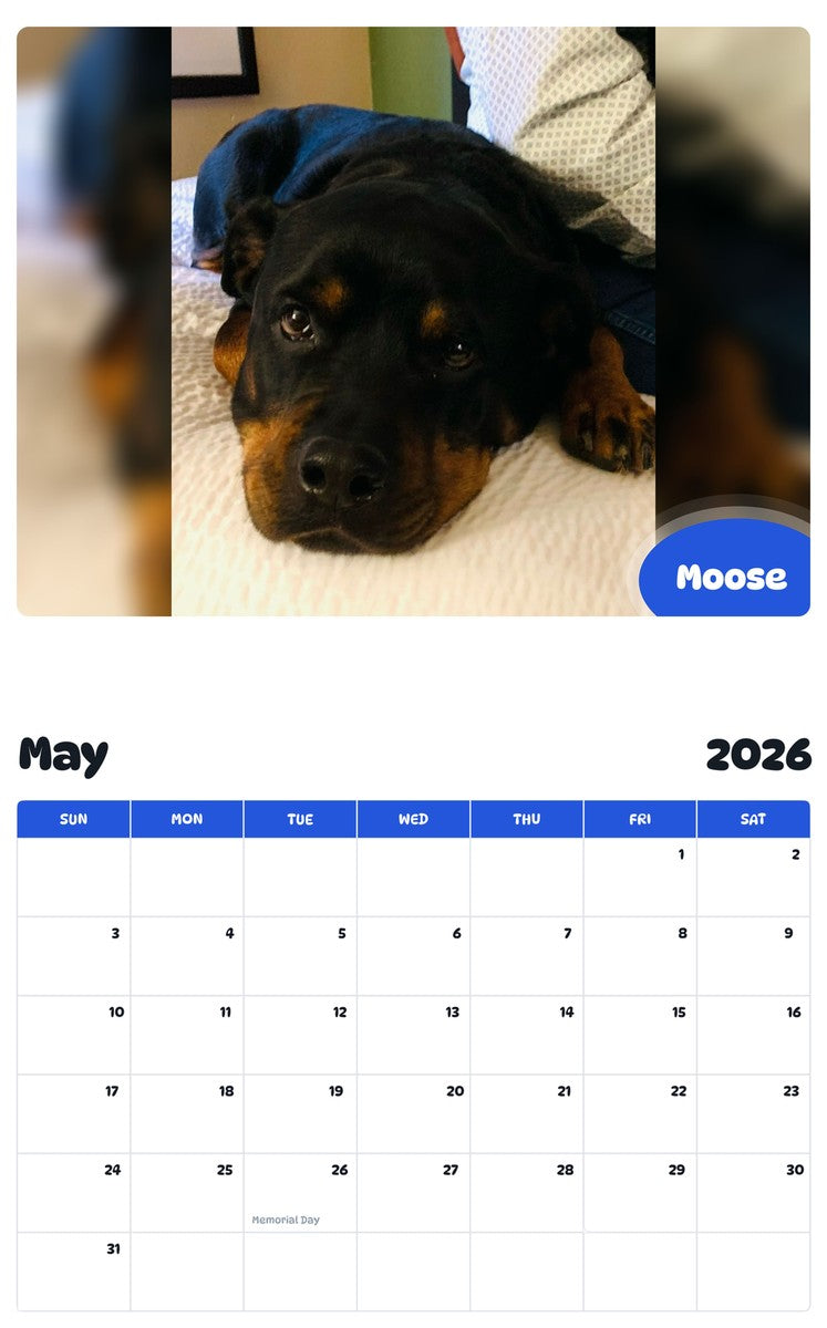 2026 - 2027 Moose - Pawidols Pet Calendar