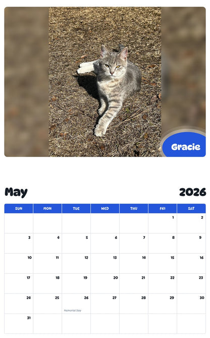 2026 - 2027 Gracie - Pawidols Pet Calendar