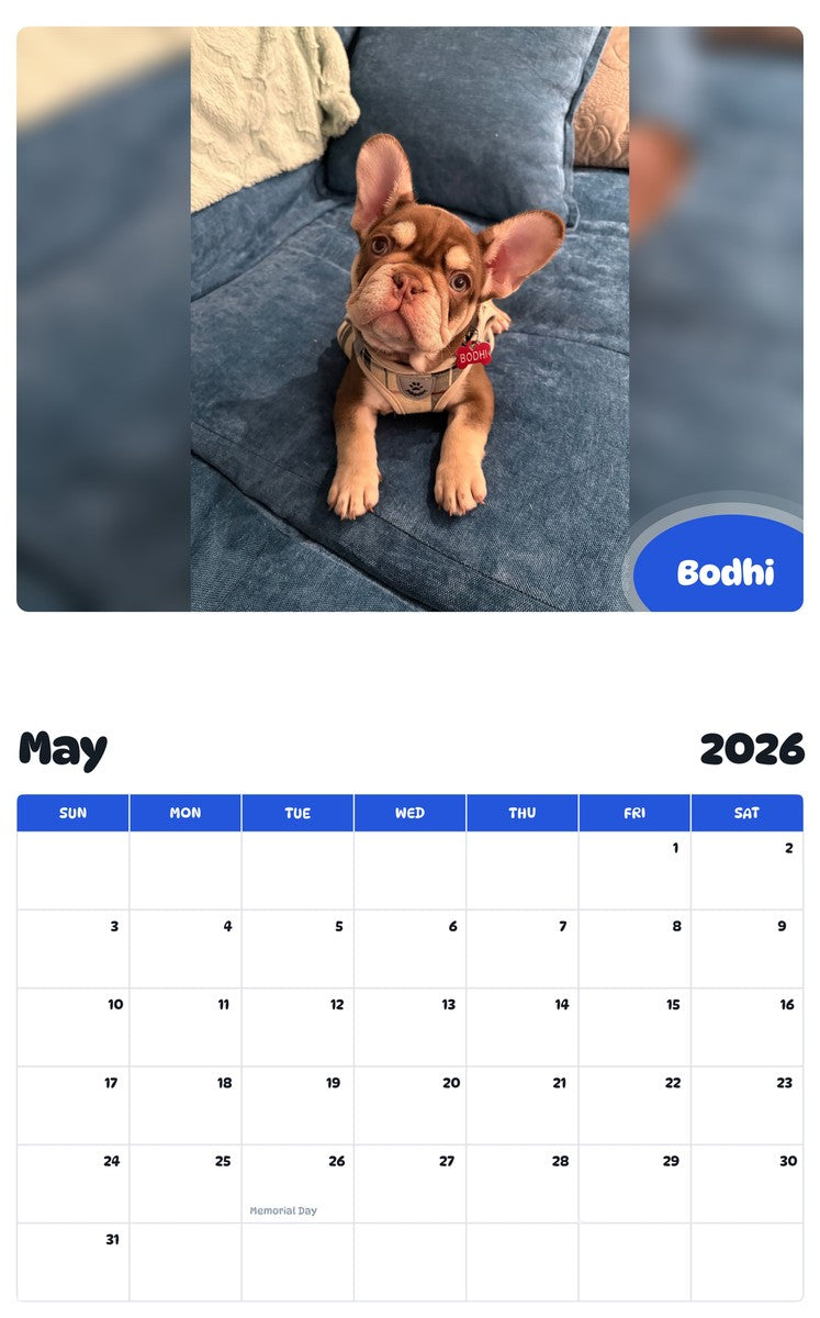 2026 - 2027 Bodhi - Pawidols Pet Calendar