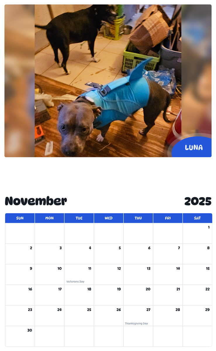 July 2025 - June 2026 Luna - Pawidols Pet Calendar