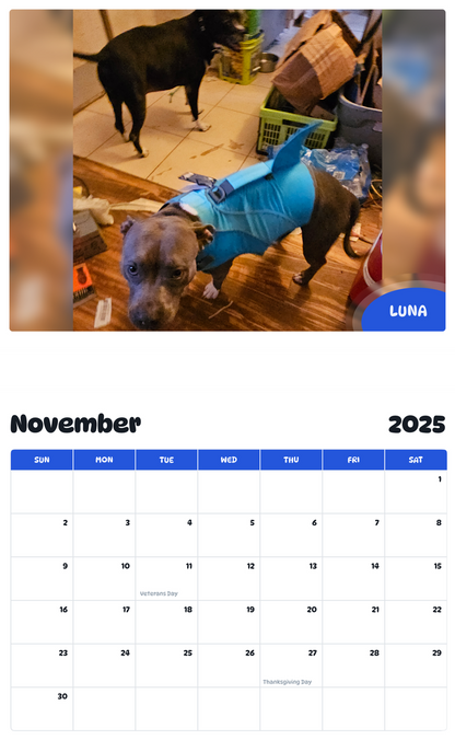 July 2025 - June 2026 Luna - Pawidols Pet Calendar